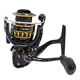 2017Daiwa BG Carretes Spinning - Black Oro, BG4000